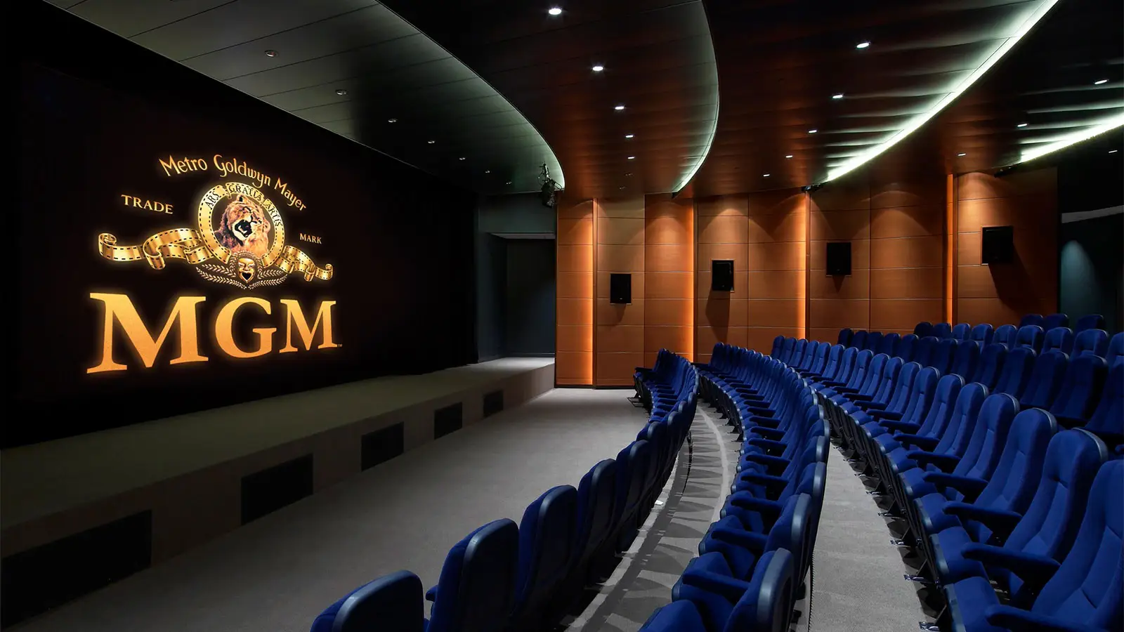 Metro-Goldwyn-Meyer (MGM)